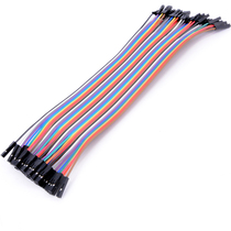 40P Dupont Line 2 54MM Double head 1P rubber shell 20CM 21CM mother to mother color line 40 root row