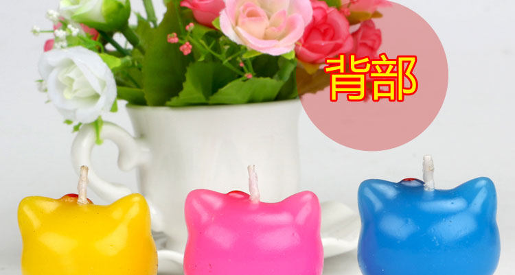 Bougie - Ref 2493868 Image 16