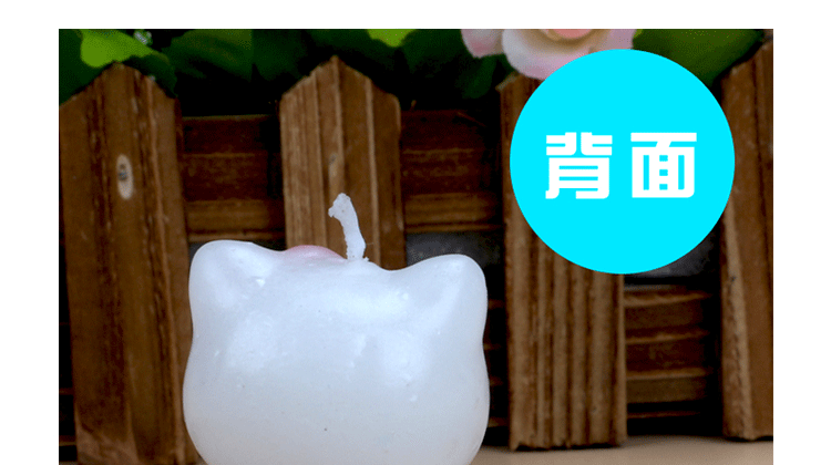 Bougie - Ref 2493873 Image 18