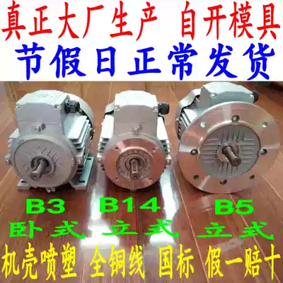 Shanghai three-phase asynchronous motor YS6334 250WAO6334 0 25KW horizontal vertical three-phase motor