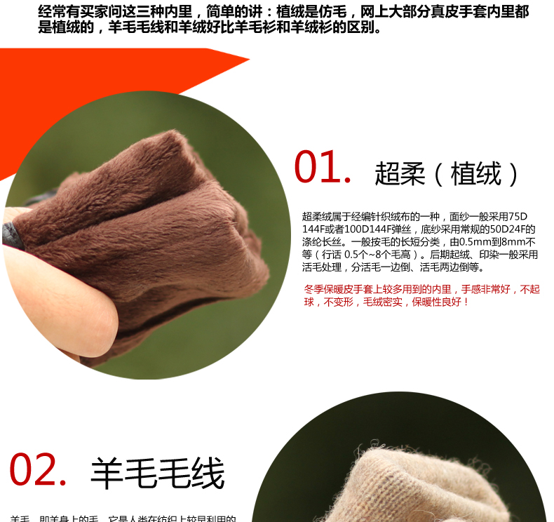 Gants pour homme      en peau de mouton - Ref 2781562 Image 21