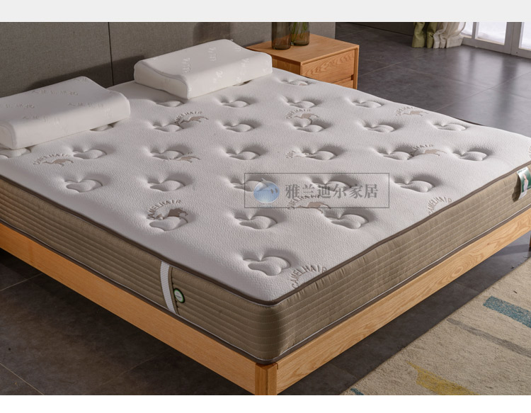 3D cọ dừa tự nhiên kép cứng nệm màu xanh lá cây bông 1,8 m camel cọ nệm lò xo nệm Simmons - Nệm đệm trải giường