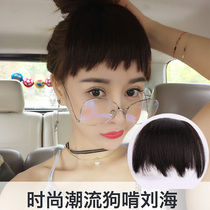 Two-dimensional wig dog gnawing bangs wig natural ultra-thin eyebrows on short-flowing sea invisible fake bangs