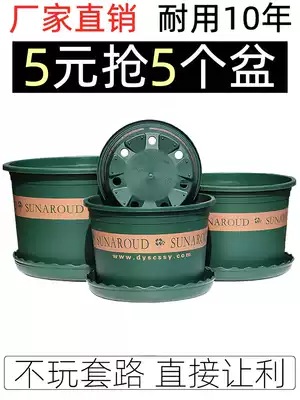 Plastic Nordic new gallon flower pot golden ge Yueji hydrangea fleshy large factory direct sales clearance small chunky pot