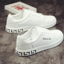 Mens shoes summer 2019 new Han edition with breathable leisure plate shoes spring small white shoes canvas shoes male tide shoes