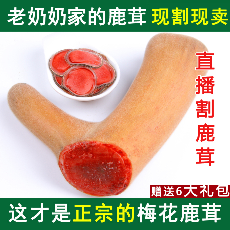 Old grandma Jilin Mayflower antler whole branch Whole Soak Wine Fresh Slice with blood 100 gr midsection and furry slices