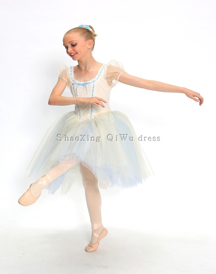 2019 new Dega Ballet Performance suit Adult Children's Palace Sleeves Long Skirt