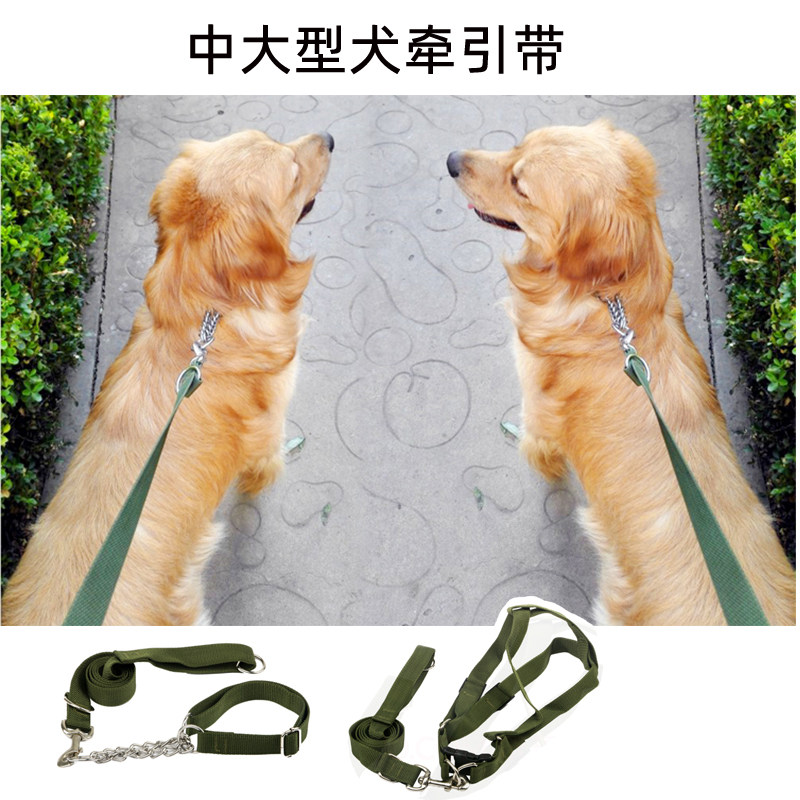 Dog chain dog leash medium and large dog leash golden retriever labrador husky collar army green pet supplies