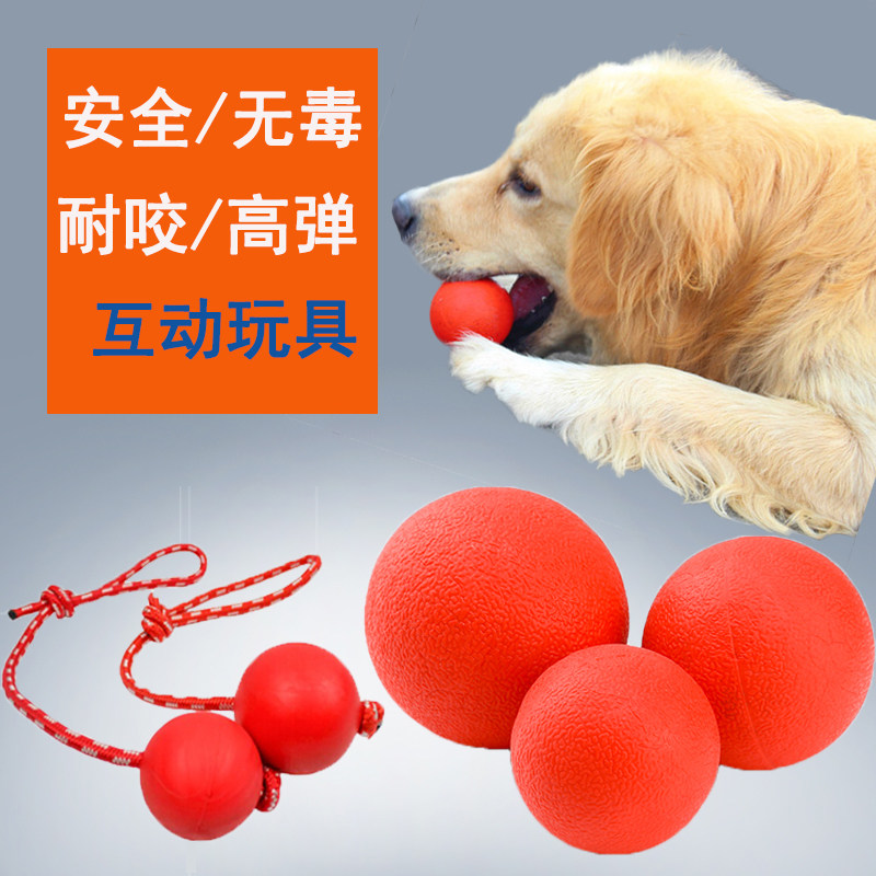 Pet solid elastic ball bite-resistant dog rubber ball grinding teeth golden retriever German shepherd training supplies grinding teeth healthy teeth high elasticity