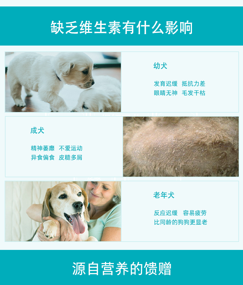 Wei Shi vitamin tổng hợp 400 viên cho chó cưng sản phẩm dinh dưỡng cho sức khỏe Teddy Golden Mao Samoyed mèo làm đẹp lông 	sữa cho chó có bầu