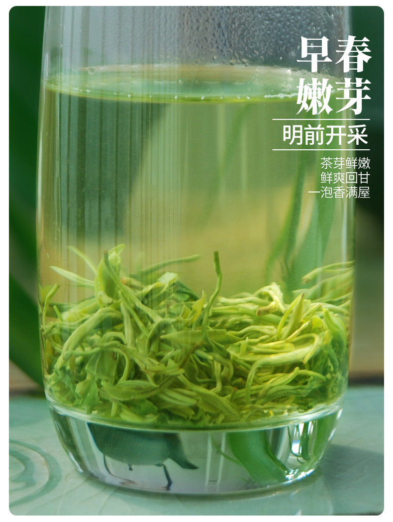 熙牧源 2020新茶 碧螺春 明前嫩芽绿茶 125g/罐 图5