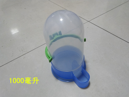 Những con chim bồ câu rất phổ biến và quay trở lại. Nước uống tự động, vẹt, bồ câu, sáo, thiết bị cho chim ăn, ấm đun nước - Chim & Chăm sóc chim Supplies lồng avi