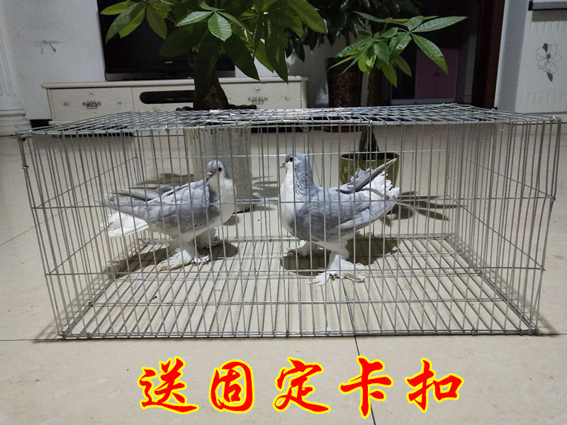 Chăn nuôi lớn lồng lồng gà và vịt thỏ hoang mèo bồ câu thú cưng đậm dây lồng chim bồ câu - Chim & Chăm sóc chim Supplies lồng chim sắt
