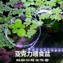 Crystal Shrimp Vat High Through Acrylic Rice Shrimp Benthic Fish Feeding Basin Residual Bait Controllable Feeding Box Shrimp Granary Dish