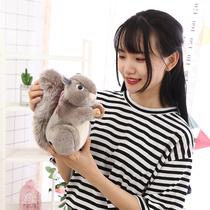 Rui Yi squirrel doll plush toy simulation squirrel doll doll home furnishings childrens gifts