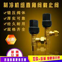 Weimings new air conditioning cold storage unit accessories copper straight angle valve globe valve with metric thickened sodium cooling parts