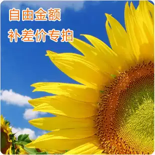 How much is the special hyperlink difference?