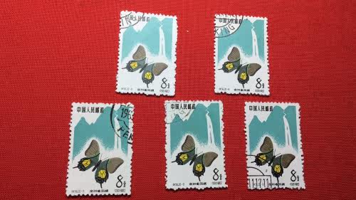 Special 56 butterfly 20-9 cover pin on random sale of single price
