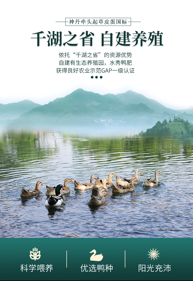 湖北老字号，非遗产品，不麻不涩：20枚 神丹 无铅溏心松花皮蛋 29.9元包邮 买手党-买手聚集的地方