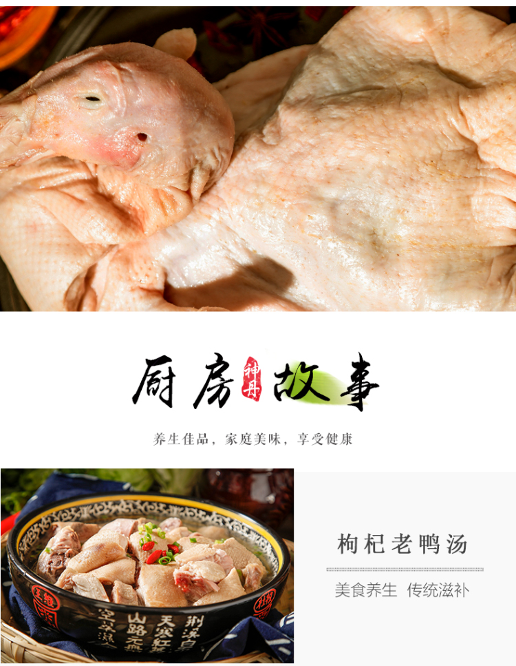 神丹 湖北孝感老麻鸭 活鸭现杀 900g 图6