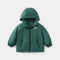 Зеленый лес