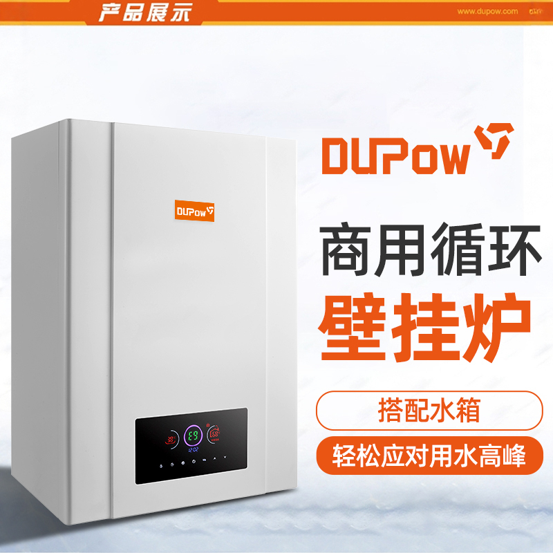 Commercial Gas Wall-Mounted Boiler Natural Gas Boiler 25L Water Heater 15L Large Circulation Hotel Homestay School 30L