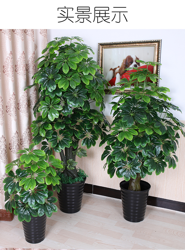Simulated Money Tree, Fortune Tree, Green Plant, Indoor Large Decorative Potted Plant, Plastic Flower, Floor-Standing Bonsai, Living Room Money Tree