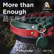 TheCollar·EDC commuter collar full-grain cowhide pet collar designed by Layla’s dad