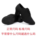 Туфли, танцующая обувь, балетки, ткань оксфорд, мягкая подошва