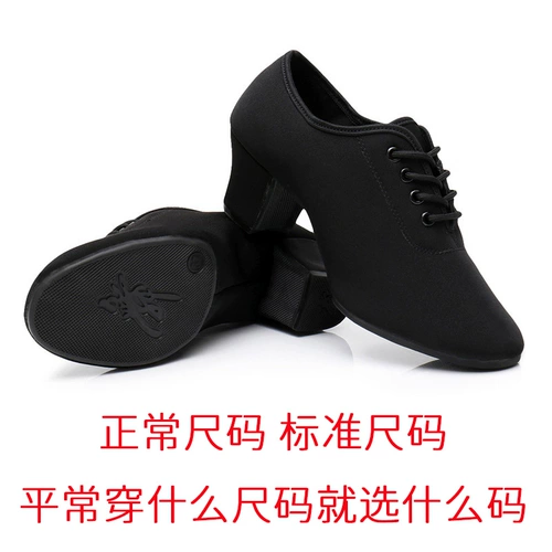 Туфли, танцующая обувь, балетки, ткань оксфорд, мягкая подошва