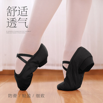 Belt Heel Teacher Shoes Dance Shoes Body Etiquette Training Women Practicing Soft Bottom Shoes Adults Dancing Canvas Belly Dance Shoes