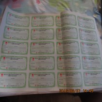 Hubei Shalongda Co Ltd Stock subscription application form large version of 20 pieces a version of fidelity