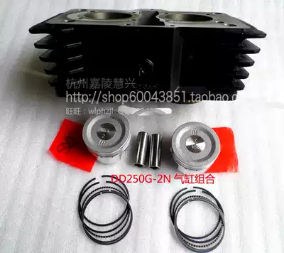 Earth Eagle King original cylinder set DD250G-2N DD250G-2 water-cooled piston piston ring combination color black