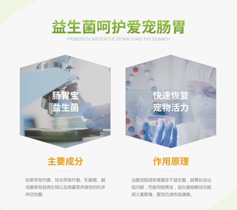 Chó tiêu hóa kho báu pet phát triển dinh dưỡng bảo trì sức khỏe đường ruột cat dog dạ dày dinh dưỡng chăm sóc sức khỏe sản phẩm 50 gam Bột kích sữa cho chó mẹ