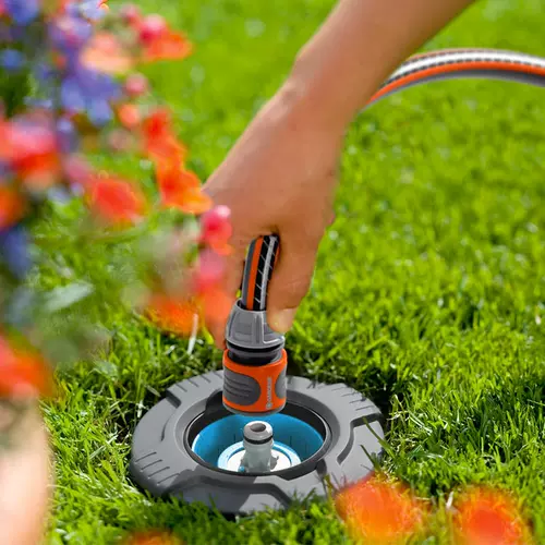 Германия импортированная сад сад Greening Express.