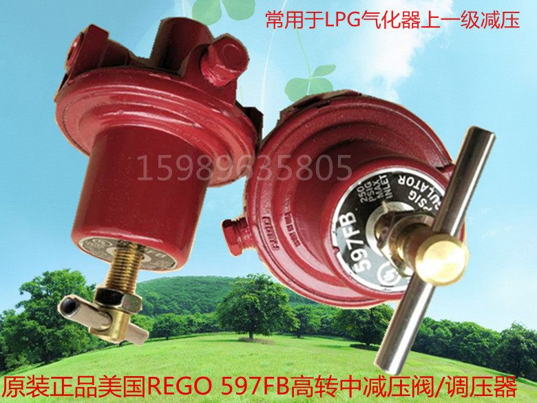 Original clothing imported USA REGO 597FB High-to-middle level pressure reducing valve liquefied gas LPG carburettor booster