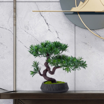 Indoor simulation of desktop plant pot view fittings home living room TV cabinet dining room green soft decoration