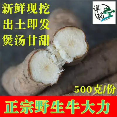Fresh cattle vigorously wild pig feet Lianshan lotus root Guangdong soup authentic now dig cattle big potato 500 grams