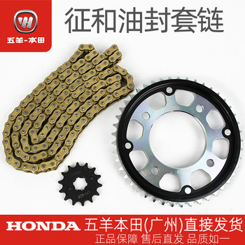 Zhenghe oil seal chain fierce bird of prey eye of the storm