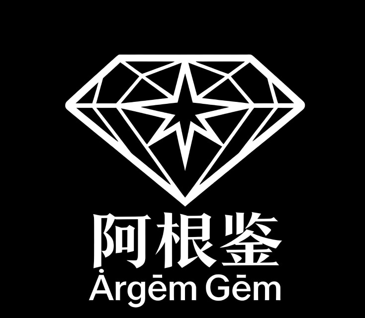 残疾人的饰品的LOGO
