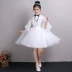 Trang phục trẻ em mẫu catwalk showgirl dạ hội váy hoa cô gái công chúa váy trang phục piano chủ lớn