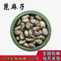 New wild castor seeds Castor seeds 500g grams of red hemp seeds Chinese Herbal medicine castor kernels Castor seeds