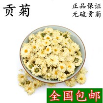Gonchamomile Chrysanthemum Tribute White Tea Chamomile Chamomile Chrysanthemum with Chrysanthemum Flowers with Chrysanthemum Flowers 500g
