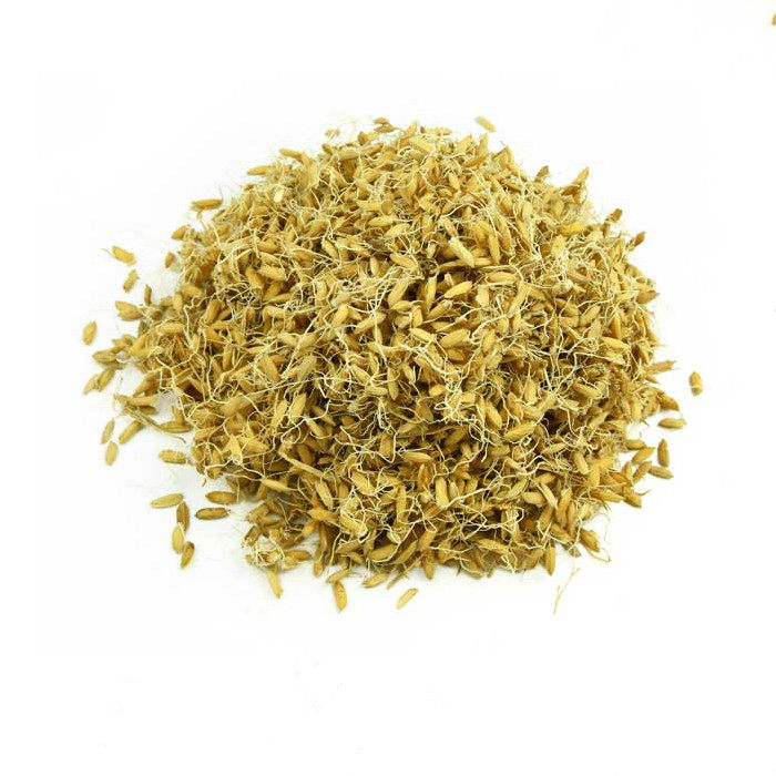 Grain sprouts, grain sprouts, glutinous rice sprouts, rice sprouts, fried sprouts, raw sprouts, Chinese medicinal materials in bulk 500g