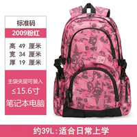 2009 Sky Pink [School-39L]