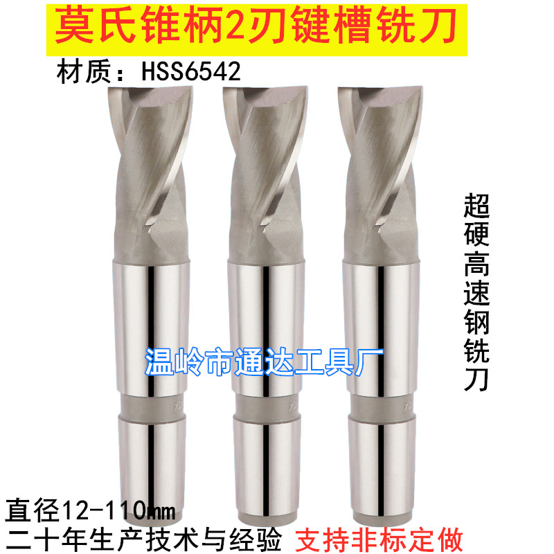 Morse taper shank keyway milling cutter HSS super hard high-speed mesh two-tooth milling cutter white steel two-edged milling cutter 14-100mm
