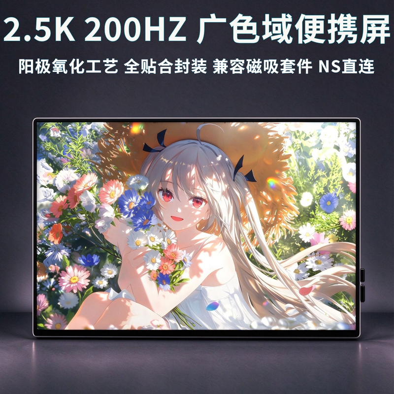 16-Inch 2.5K Ultra-Clear 200Hz High Refresh Rate Wide Color Gamut Portable Touch Display Secondary Screen Kit by Dji Technology
