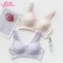 Nông trên nhà XL xốp cố định mỏng không có vòng thép béo MM vest mẫu cô gái cotton BCD cup bra nội y đẹp