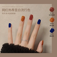 Черный чай красный коричневый+тыквенный цвет+тибетский синий