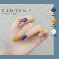 Тыквенный цвет+легкий краб -серый+слой уплотнения покрытия